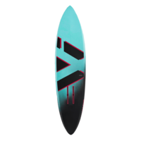 We One WeFly Downwindboard